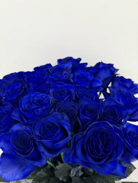 青いバラ(ブルーローズ)