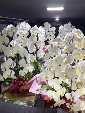 4/1はたくさんの配達と宅急便出しを行っております