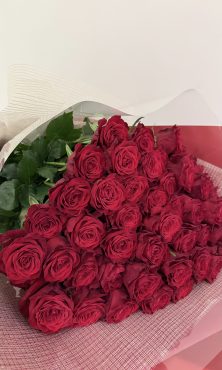 50本の赤バラの花束🌹 ご注文ありがとうございました！プロポーズ/記念日/サプライズ/誕生日のプレゼントに人気の薔薇の花束のご予約承ります💁‍♀️✨花倶楽部/福岡博多・博多駅近くの花屋092-432-5087｜「花倶楽部」　（福岡県福岡市博多区の花キューピット加盟店 花屋）のブログ